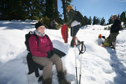 Elfin 2013 image